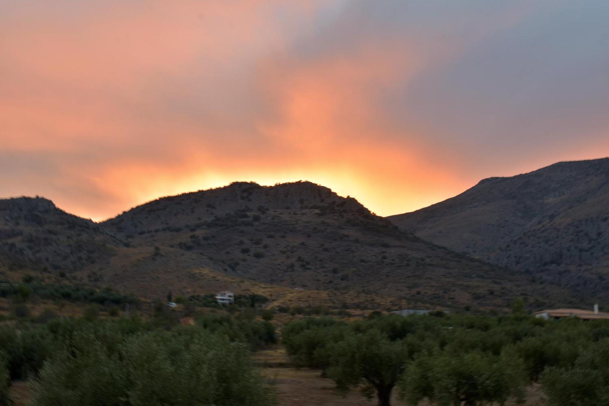 Villa In The Olive Trees Galaxídhion 객실 사진