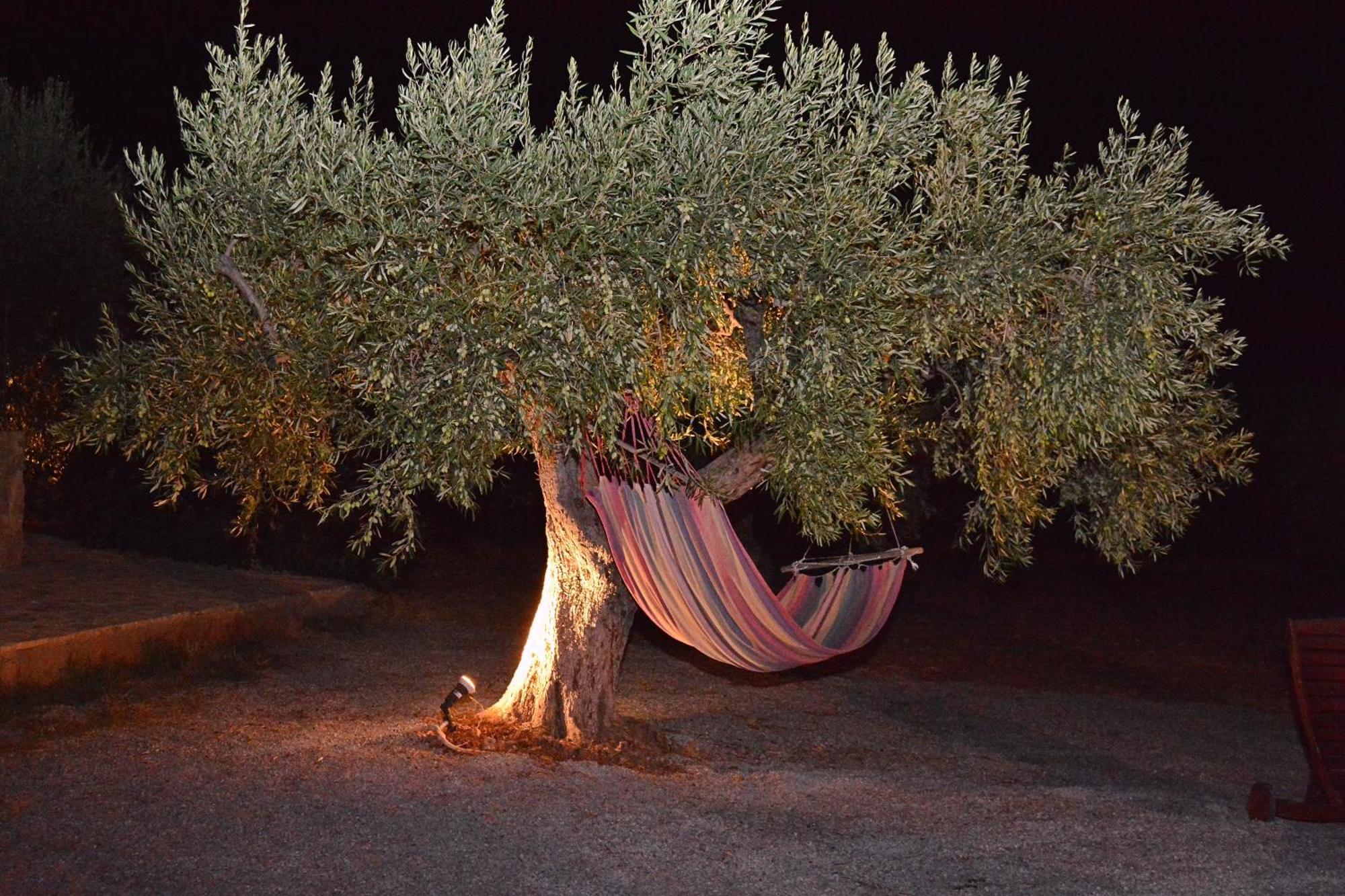 Villa In The Olive Trees Galaxídhion 외부 사진